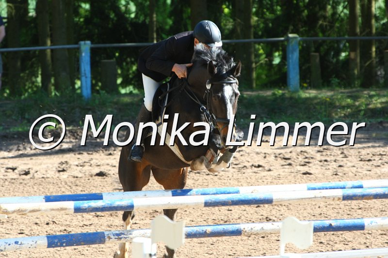 104M8910_Spring M_m.Stechen.JPG